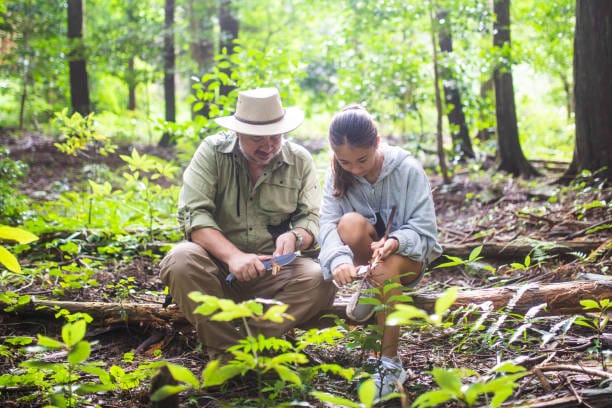 Bushcrafting and Survival Skills A father teaching his young daughter wilderness survival, bushcraft and knife skills in a forest.