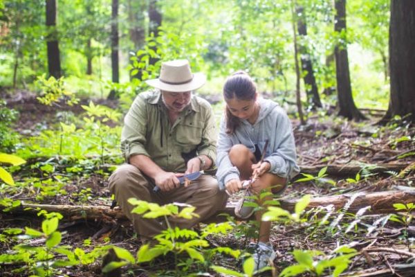 Bushcrafting and Survival Skills A father teaching his young daughter wilderness survival, bushcraft and knife skills in a forest.